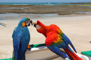 General view
General view
di Serrambi Resort
