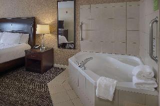 Hilton Garden Inn St. Louis Airport 