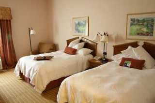 Room
 di Hampton Inn Dallas-Irving-Las Colinas 