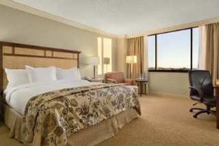 Room
 di Hilton Ocala 