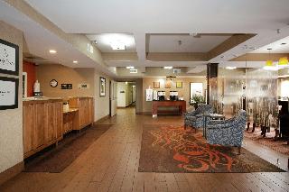Hampton Inn Collinsville