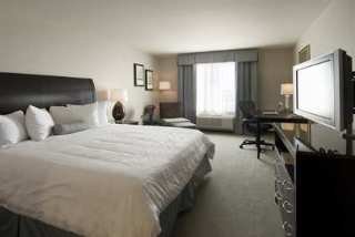 Room
 di Hilton Garden Inn Dallas Lewisville 