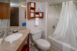 Hampton Inn Charleston-Downtown (Civic Center)