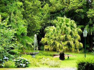 General view
General view
di Residencial Casa Do Jardim