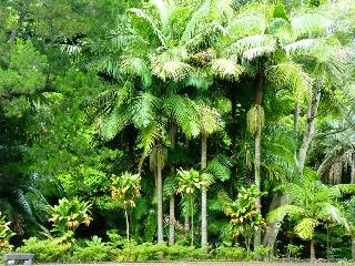 General view
General view
di Residencial Casa Do Jardim