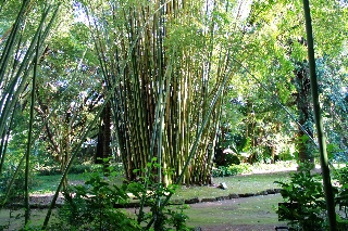 General view
General view
di Residencial Casa Do Jardim