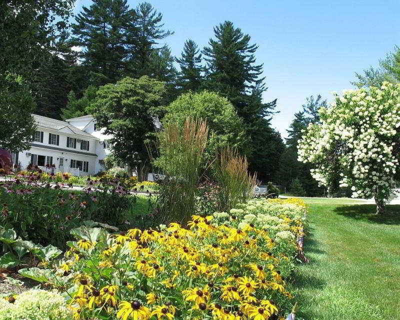 General view
 di Purity Spring Resort