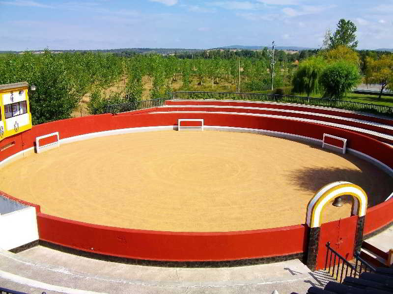 General view
General view
di Conde Rodrigo II