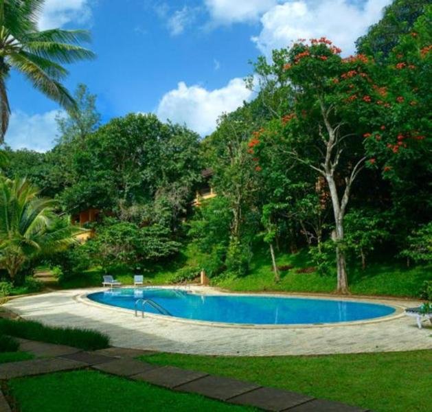 Pool
Pool
di Abad Green Forest