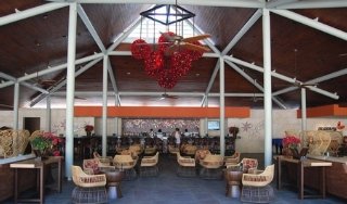 Bar
 di Barcelo Bavaro Beach (Solo para adultos)