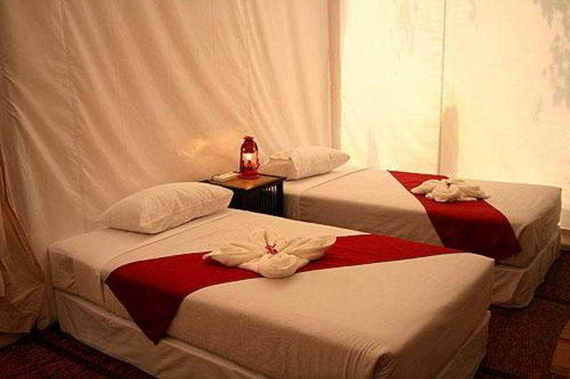 Room
 di Khao Kheow es-ta-te Camping Resort & Safari