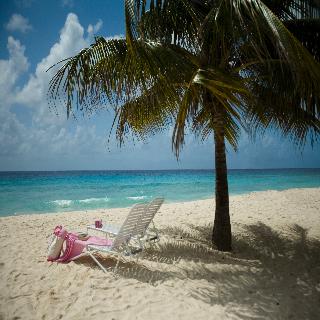 Beach
Beach
di Southern Palms Beach Club