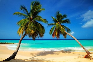 Beach
Beach
di Ocean Two Resort and Residences