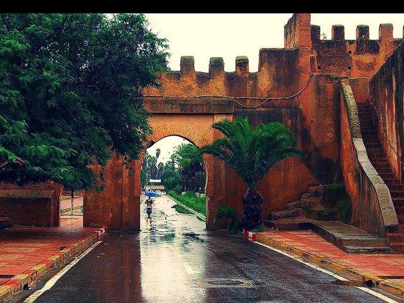 General view
General view
di L' arganier d'Or