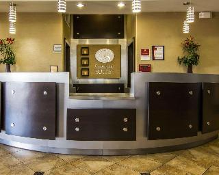 Comfort Suites West Dallas - Cockrell Hill