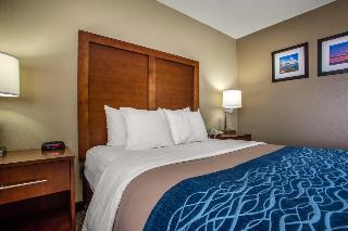 Comfort Inn & Suites Jackson - West Bend image 1