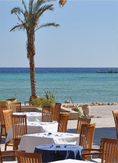 Restaurant
Restaurant
di The Breakers Diving & Surfing Lodge