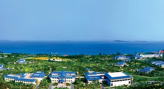General view
 di Seaview Resort