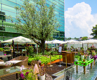 Terrace
Terrace
di Starling Geneva Hotel & Conf Center