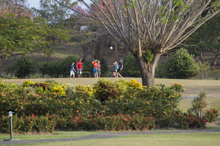 General view
General view
di Pierre & Vacances Village Club Sainte Luce