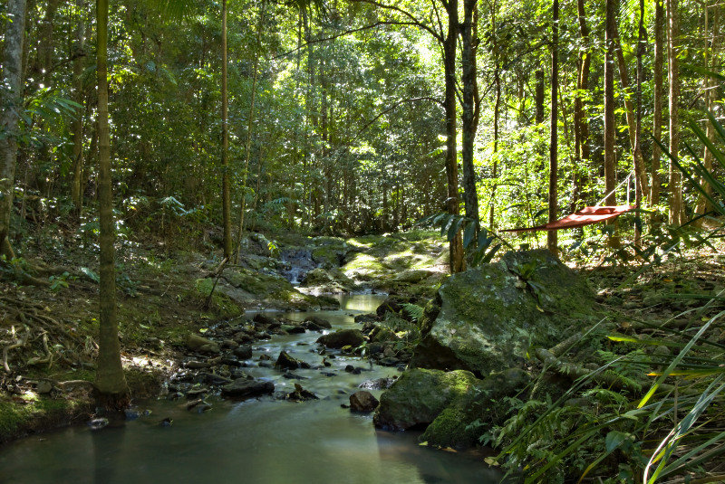 General view
 di Narrows Escape Rainforest Retreat