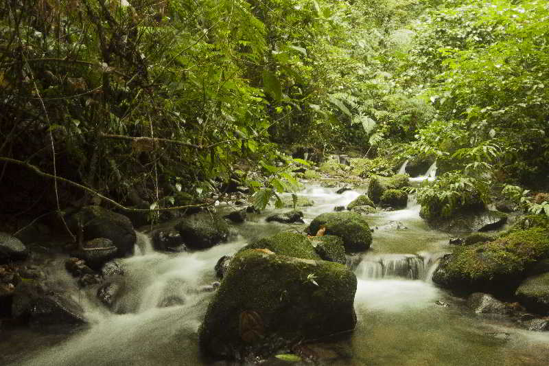 General view
General view
di Green Lagoon Falls Park Lodge