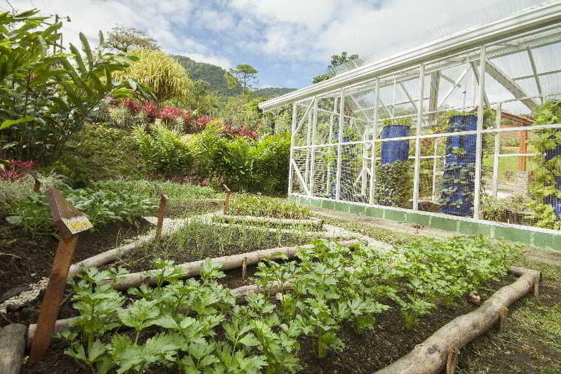 Terrace
Terrace
di Green Lagoon Falls Park Lodge