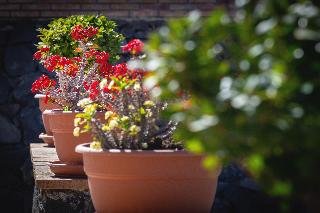 La Terra Dei Sogni Country Hotel