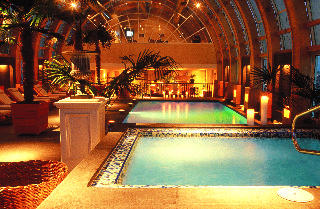 Pool
Pool
di The Ritz Carlton Santiago