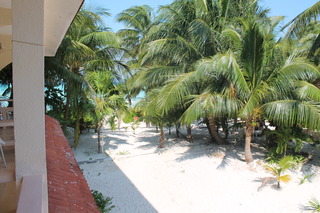 Cabanas Maria Del Mar Isla Mujeres Isla Mujeres Mexico thumbnail