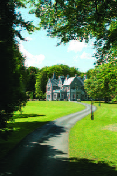 General view
General view
di Mount Falcon Estate