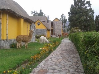 General view
General view
di Eco Inn valle del Colca