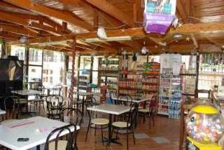 Restaurant
Restaurant
di Two Brothers Studios