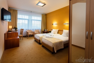 Room
Room
di Victor Pruszkow by DeSilva