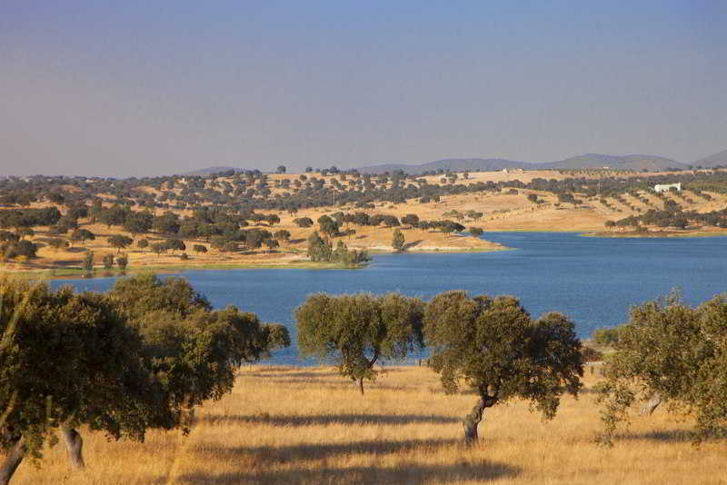 Sports and Entertainment
Sports and Entertainment
di Betica Hotel Rural