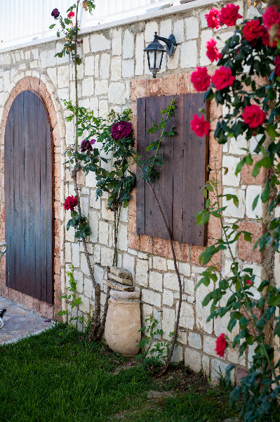 General view
General view
di Erietta Luxury Apartments