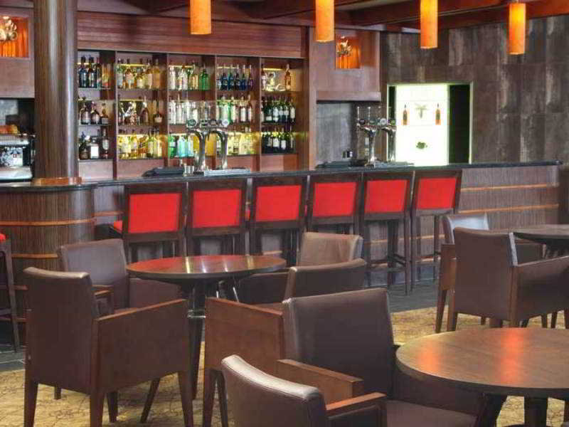 Bar
Bar
di The Cheltenham Chase