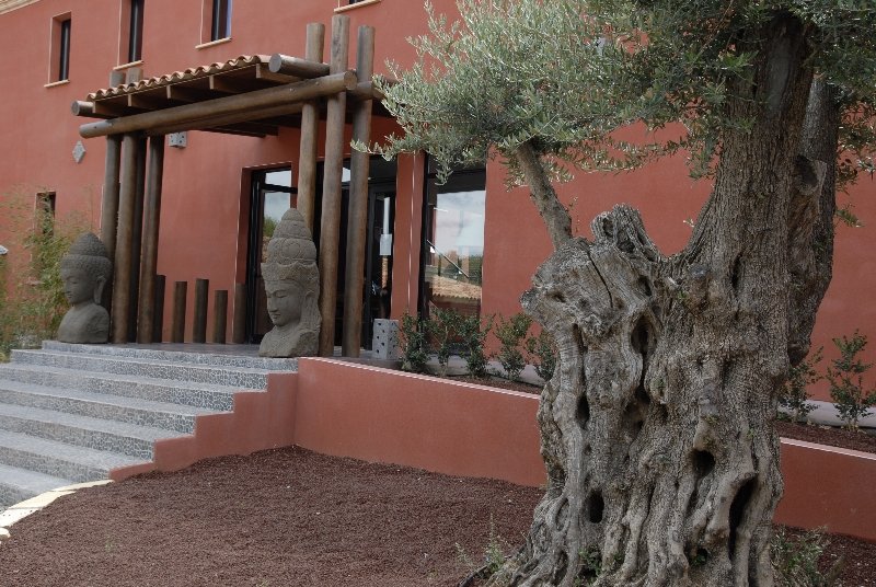 General view
General view
di Disini & Spa Hotel