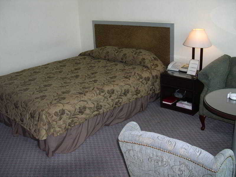 Room
Room
di Amour & Symphony