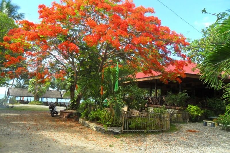 General view
General view
di Nitivos Beach Resort