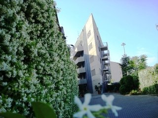 General view
General view
di Residence Le Corniole