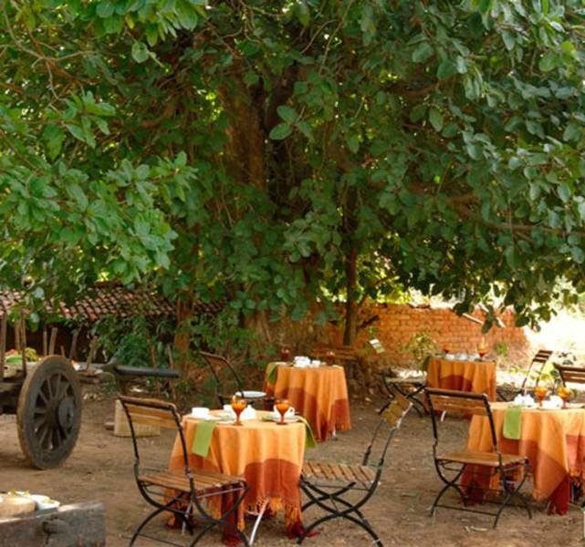 Restaurant
Restaurant
di Mahua Kothi