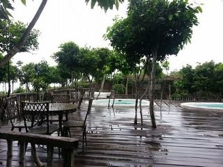 General view
General view
di Bohol Bee Farm Resort