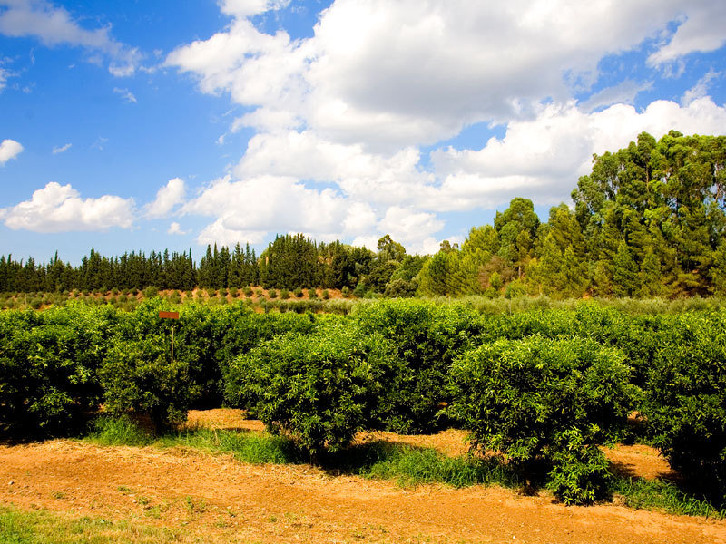 General view
General view
di Borgo Valle Rita