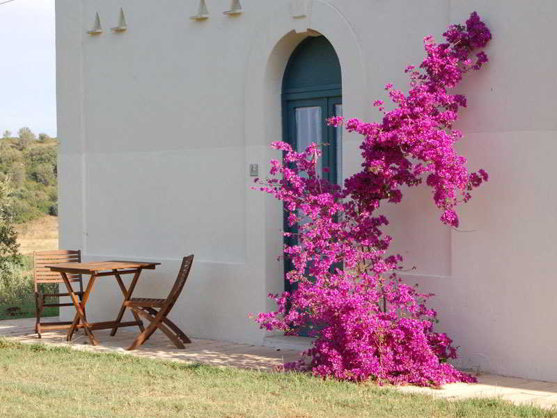 Terrace
Terrace
di Borgo Valle Rita