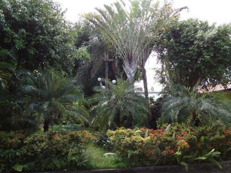 General view
General view
di Olman's View Resort