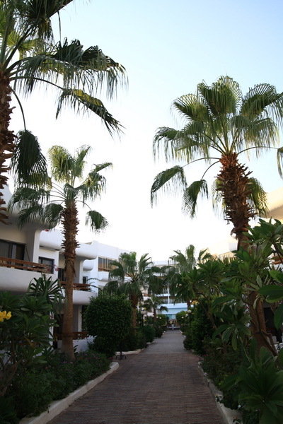 General view
General view
di Dessole Marlin Inn Beach Resort