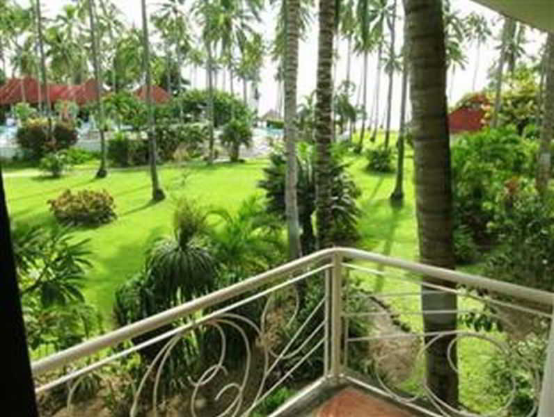 Terrace
Terrace
di Bahura Resort and Spa