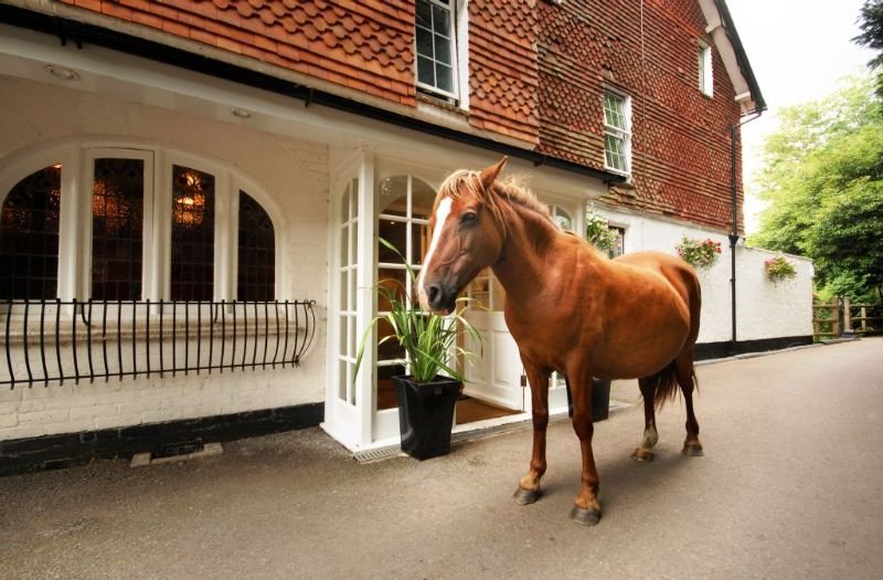 General view
General view
di Moorhill House Hotel