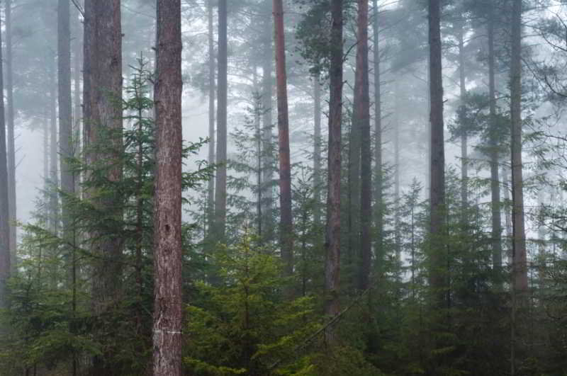 General view
General view
di Moorhill House Hotel